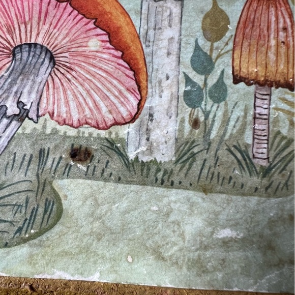 Vintage Cottagecore Mushroom Botany Litho Art Print 1971 USA made - Picture 4 of 12